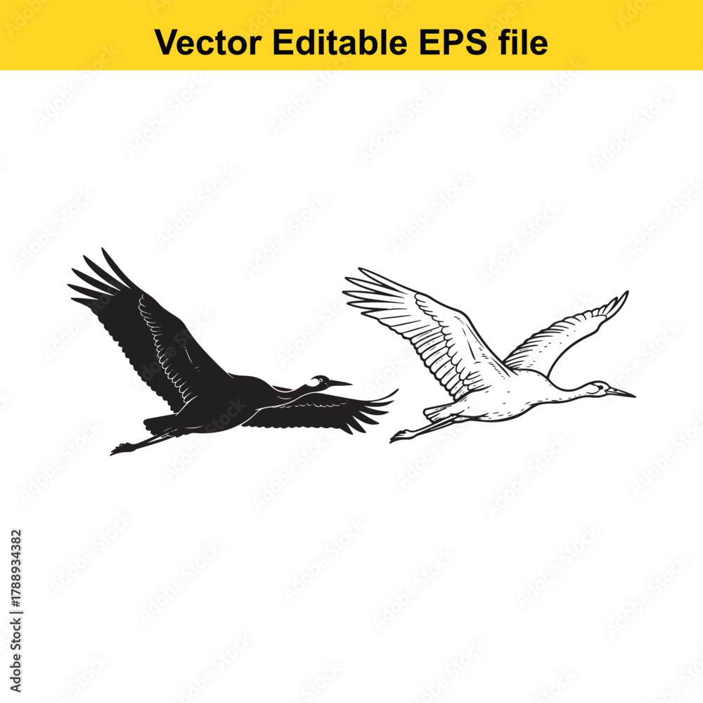 Obraz premium Two cranes flying, one in silhouette and one detailed