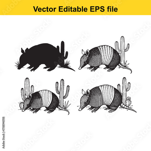 Collection of four armadillo drawings and a silhouette, set against a backdrop of desert cactus plants