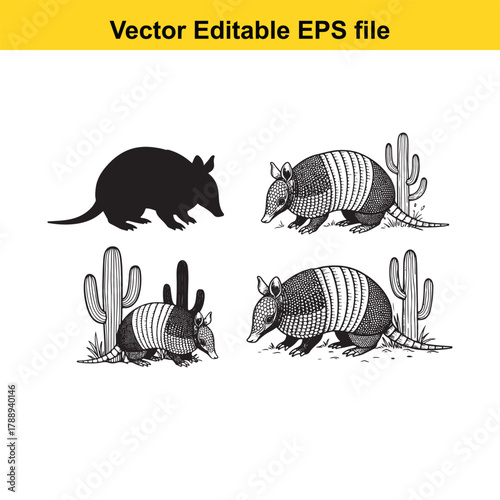 Set of four armadillo illustrations, including a silhouette and detailed drawings, with cactus plants