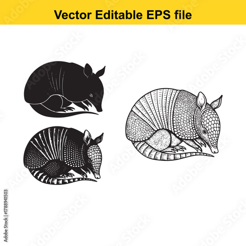 Three armadillos, one solid black and two detailed line art, curled up in a ball