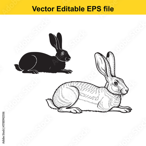 Two rabbits, one black silhouette and one detailed sketch, sitting on a, vector editable eps file