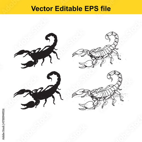 Two black silhouette scorpions and two detailed line art scorpions on a, vector editable eps file