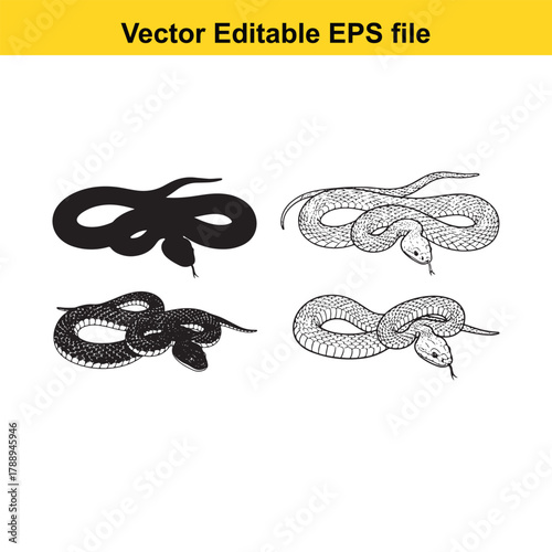 Four snake illustrations, two in silhouette and two detailed, coiled and