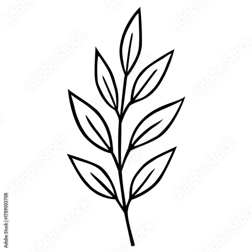 Leaves Simple Illustration 