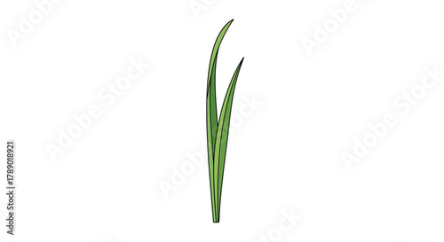 Close-up of vibrant green grass blades against a white backdrop.