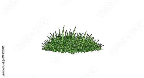 Lush Green Patch of Grass Isolated on White Background.