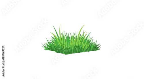 Lush Green Grass Patch Isolated on White Background.