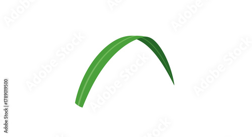 Single green leaf with a curved shape on a white background.
