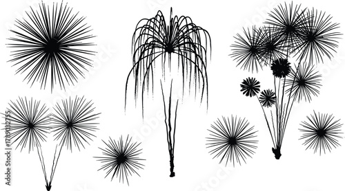 Graphic set of abstract black firework and plant burst shapes isolated on white background, Vector, illustration