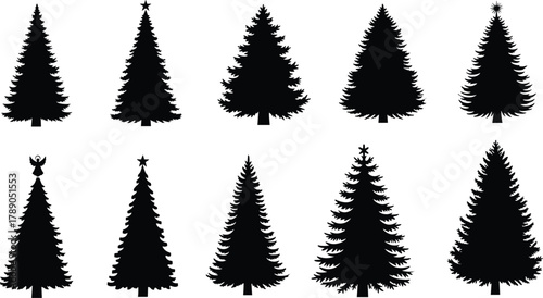 Stylized evergreen tree silhouette collection for holiday designs isolated on white background, Vector, illustration