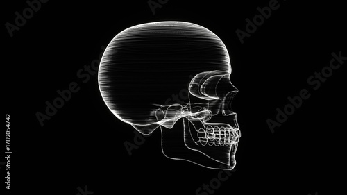 A holographic skull with a wireframe design. 
Perfect for futuristic, sci-fi, or dark-themed visuals.