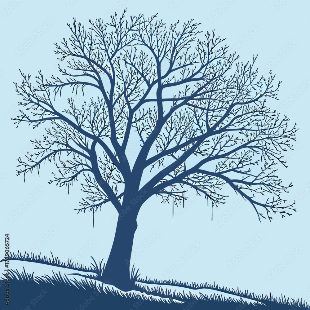 Fototapeta premium Silhouette of a Large Bare Tree in Winter branches