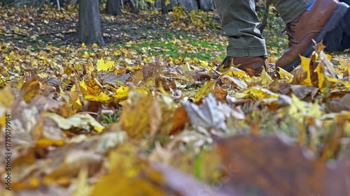 Walking through a backyard during late October highlights the beauty of autumn leaves