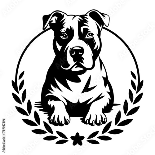 American Staffordshire Terrier