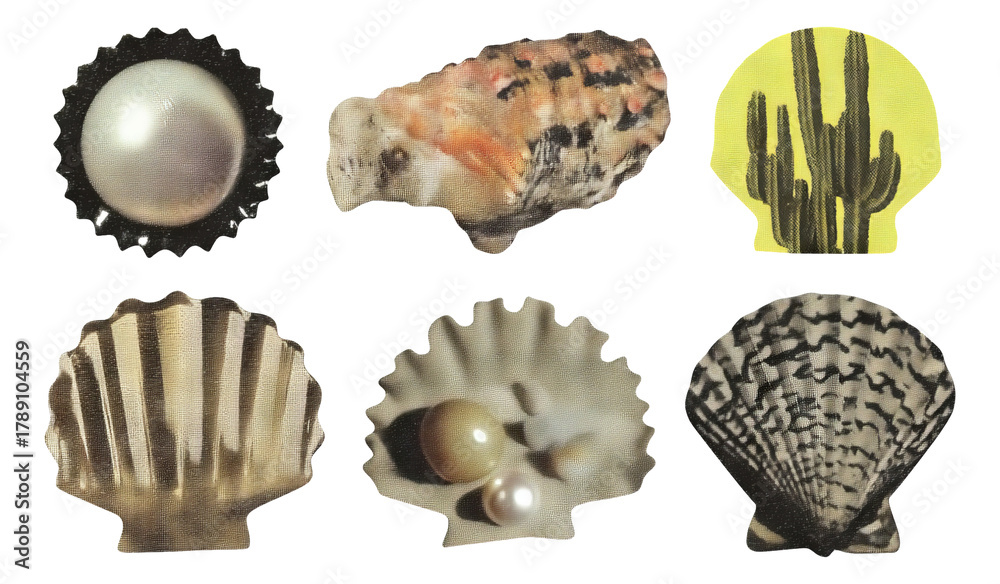 Obraz premium Unique Shells and Pearls Collection on Transparent Background for Creative Projects