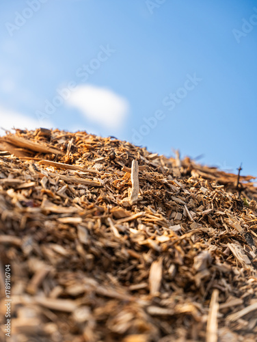 A pile of wood chips with a light blue sky in the background
