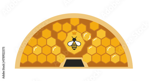 Honeycomb Structure with Bee - A Detailed Vector Illustration.
