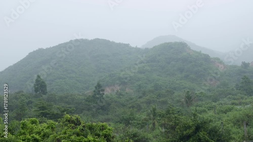 Rainwater runs down mossy rocks in humid rainforest surrounded by misty air and dense foliage under cloudy mountain sky. Tropical calm.