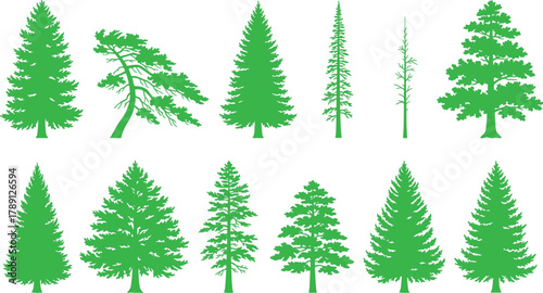 Conifer tree silhouette set, green vector collection of diverse evergreen shapes, stylized pine designs, forest graphic elements for botanical and seasonal themes