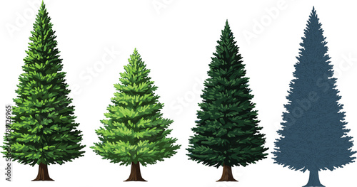 Conifer tree variety illustration, four foliage textures and colors, stylized evergreen comparison, botanical nature graphic, landscape design element, pine species diversity