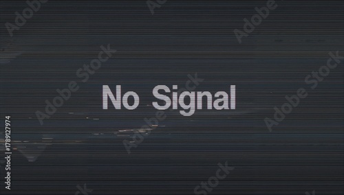 No Signal Error Message on a Glitched Screen with Static and Distortion