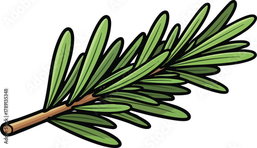 Green Rosemary Sprig With A Brown Stem Detailed Illustration Isolated On White Background