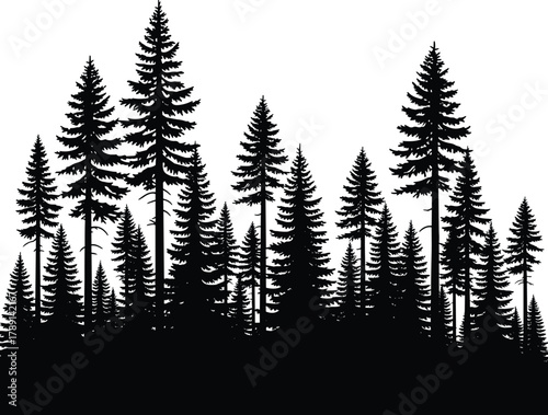 Dense pine forest silhouette, conifer tree landscape, black woodland vector, nature illustration, layered fir trees, minimalist wild scene, evergreen forest art, graphic design