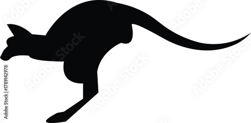 Silhouette of a Kangaroo in Mid-Jump