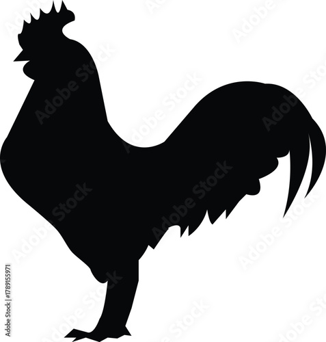 Bold black silhouette of a powerful rooster, an elegant vector illustration representing farm life, poultry, and rural themes, perfect for iconic design concepts
