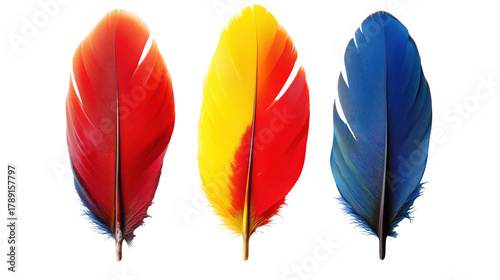 Three colorful bird feathers red yellow and blue isolated on transparent background