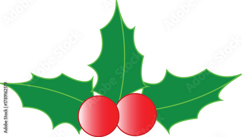 Festive Red Holly Berries and Green Leaves, a Classic Symbol of Winter Holidays and Christmas Celebrations