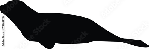 Sleek and minimalist black silhouette illustration of a marine seal, gracefully capturing the essence of ocean wildlife for environmental, educational, or graphic design applications