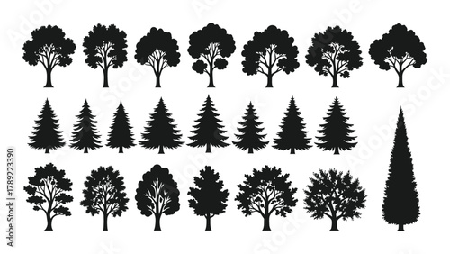 Tree silhouettes collection isolated on white background, Vector