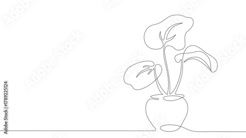 House plant in a pot. Continuous one-line drawing. Continuous one-line drawing. House plant in a pot. Vector illustration
