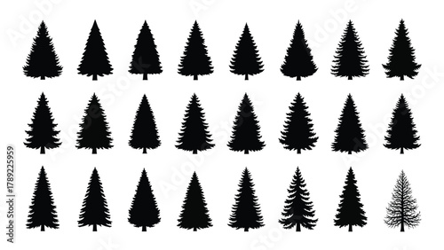 Christmas and pine tree silhouettes collection isolated on white background, Vector