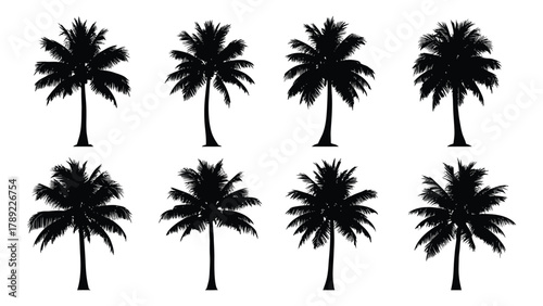 Palm tree silhouettes set isolated on white background, Vector
