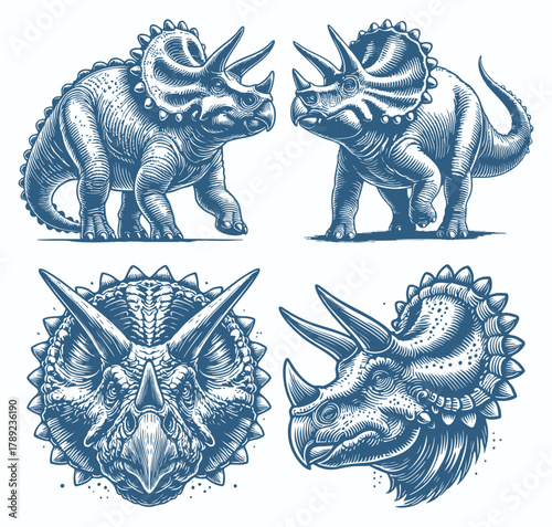 Triceratops Dinosaur Vector Set, Vintage Engraved Illustration