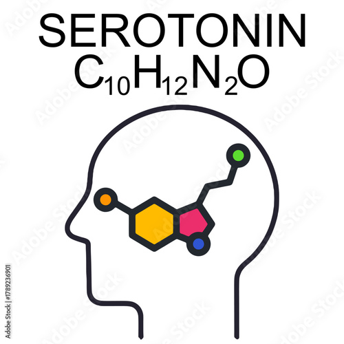 Illustration of serotonin’s molecular structure (C10H12N2O) integrated within a human head outline, symbolizing its role as a neurotransmitter influencing mood, happiness, and emotional well-being