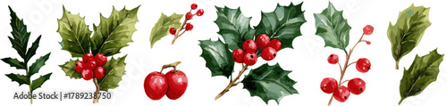 set of christmas decorations with holly leaves and red berries, vector illustration on a white background