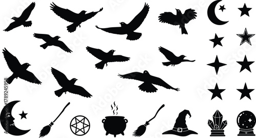 Mystical silhouette icons, flying birds, witchcraft symbols, magical items, celestial elements, Halloween theme, black vector graphics, flat vector illustration
