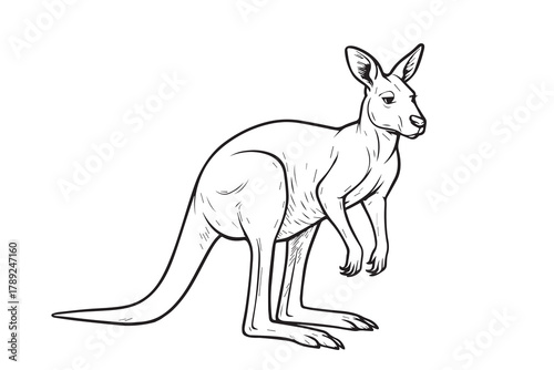 Minimal black and white vector of a kangaroo standing alert, embodying the wild essence, gentle movement, and balanced form of Australia’s unique animal.