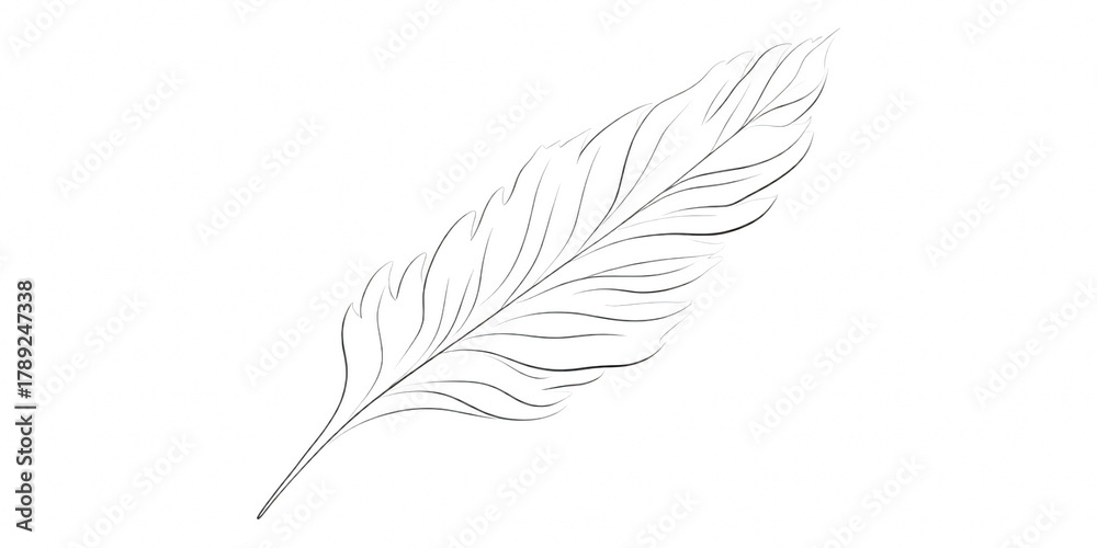 Obraz premium White feather bird isolated pen with graceful purity and mystic glow, symbolic clip art of peace and imagination with mystery, handwriting, dream