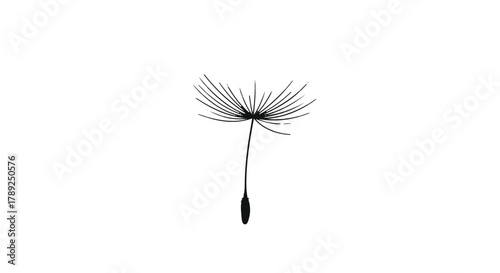 Delicate dandelion seed floating on a white background, symbolizing hope and new beginnings.