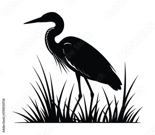 Great Egret Silhouette in Grass: Wetland, Bird, Nature, Wildlife