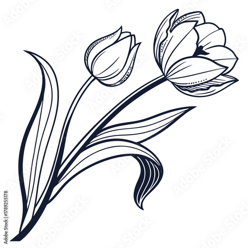 Tulip Line Art with Bud and Leaves
