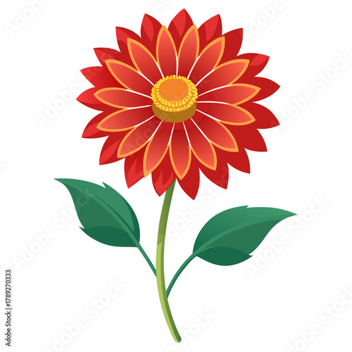 gaillardia arizona aprico silhouette on white background