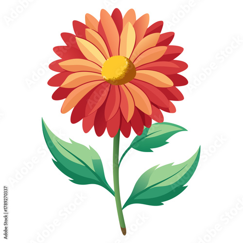 gaillardia arizona aprico line art on white