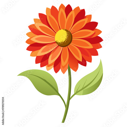 gaillardia arizona aprico flower vector on white background