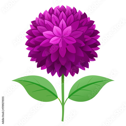 gomphrena globosa buddy purple flower vector on white background