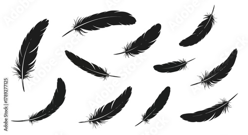 Floating Feather Silhouette Design Elements on White